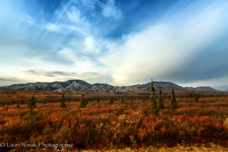 Denali National Park Range & Sky