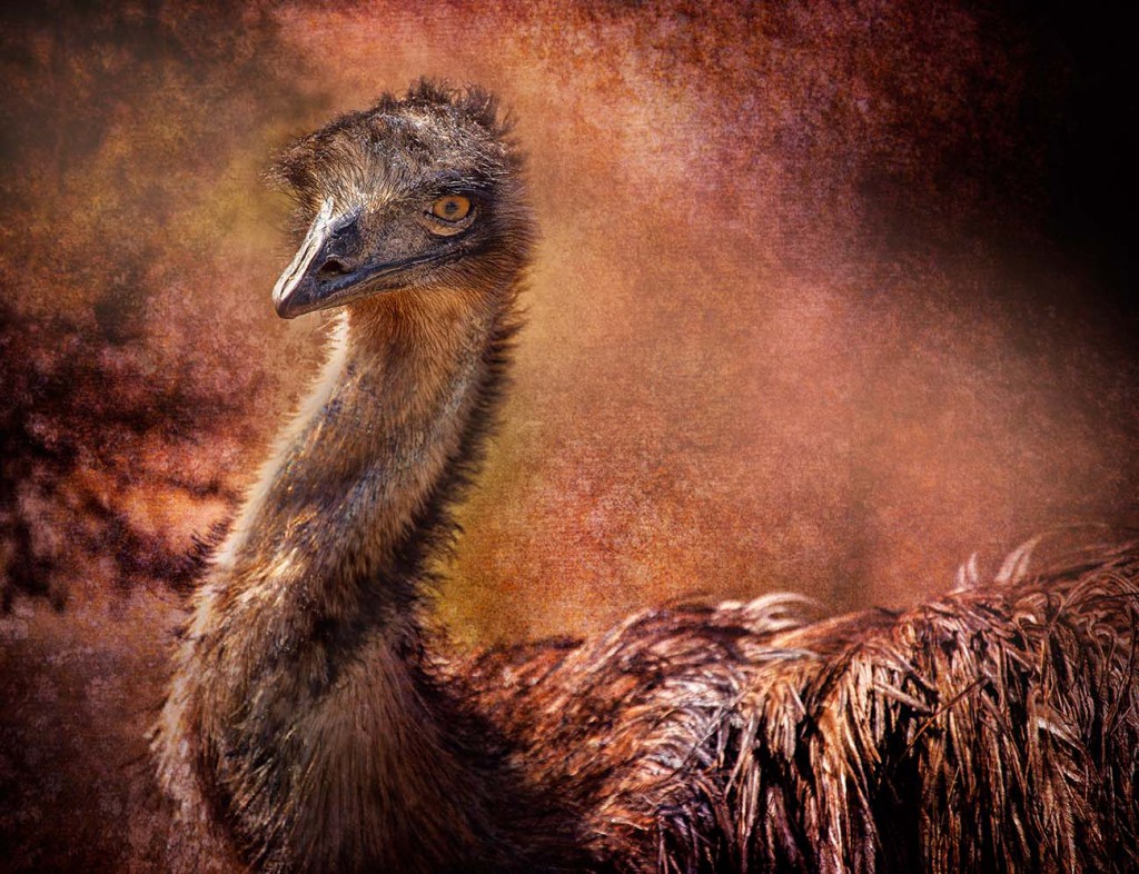 Emu-1